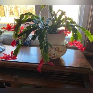 Meet your Posher, Patti